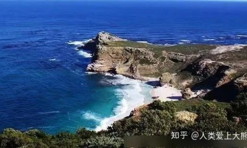 白花蟛蜞草有什么禁忌吗网 :分享白花蟛蜞草煲汤搭配-白花蟛蜞怎么吃效果强知识