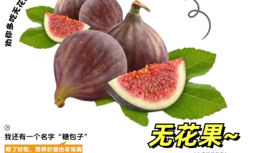 白花蟛蜞草是墨旱莲吗-白花蟛蜞草有什么禁忌吗网 :分享白花蟛蜞草煲汤搭配-白花蟛蜞怎么吃效果强知识